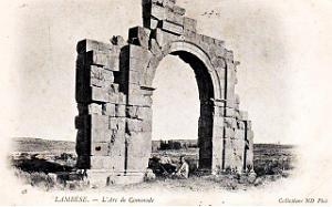 ALGERIE-RUINES ROMAINES DE LAMBESE (42)